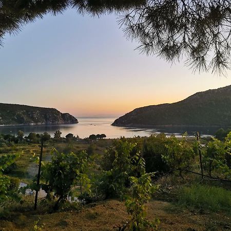 Porto Koufo Resort Bungalows מראה חיצוני תמונה