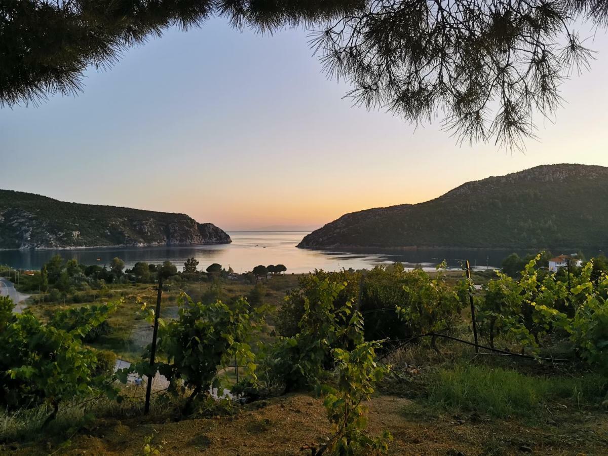 Porto Koufo Resort Bungalows מראה חיצוני תמונה